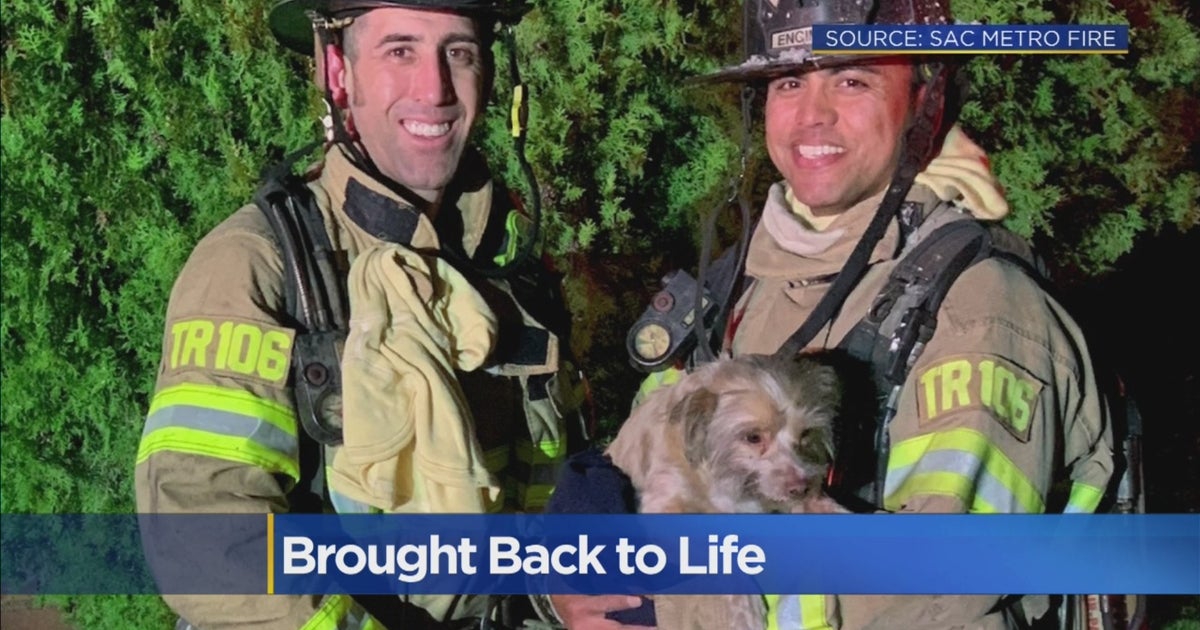 Dog Brought Back To Life By Firefighters After House Fire - CBS Sacramento