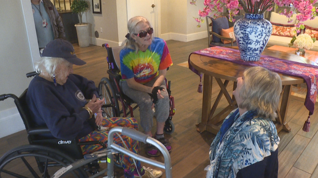 SENIOR BIRD THERAPY PKG.transfer_frame_1291 