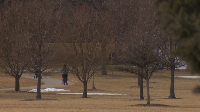 LOST DOG 6PKG.transfer_frame_1427 