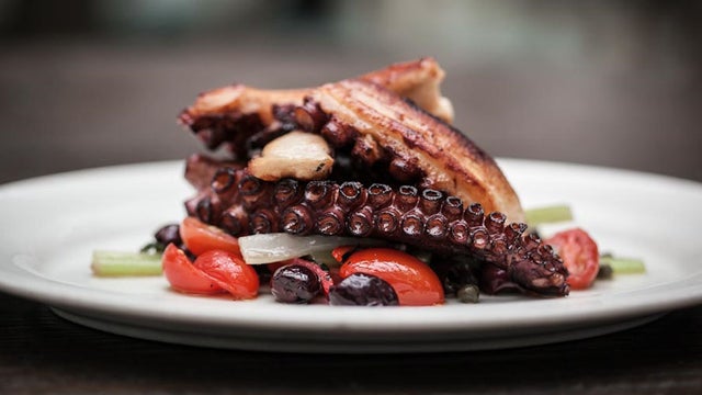 Octopus Dish_2 