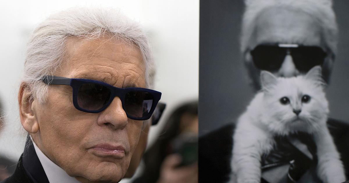 Karl Lagerfeld leaves cat, Choupette, inheritance, but may not be richest pet - CBS News