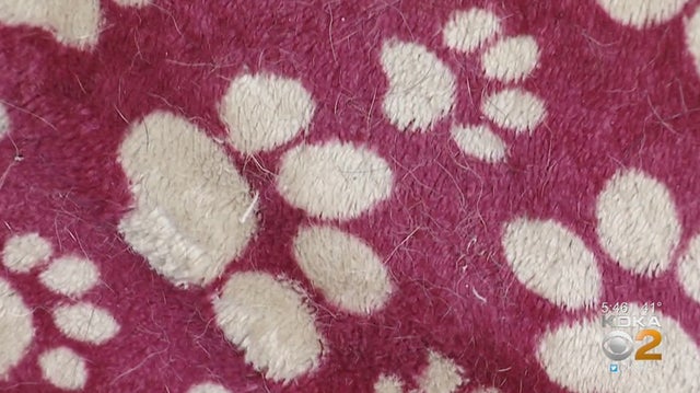 furzapper blanket before 