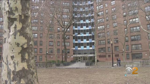 bronx-peephole-shooting-building.jpg 