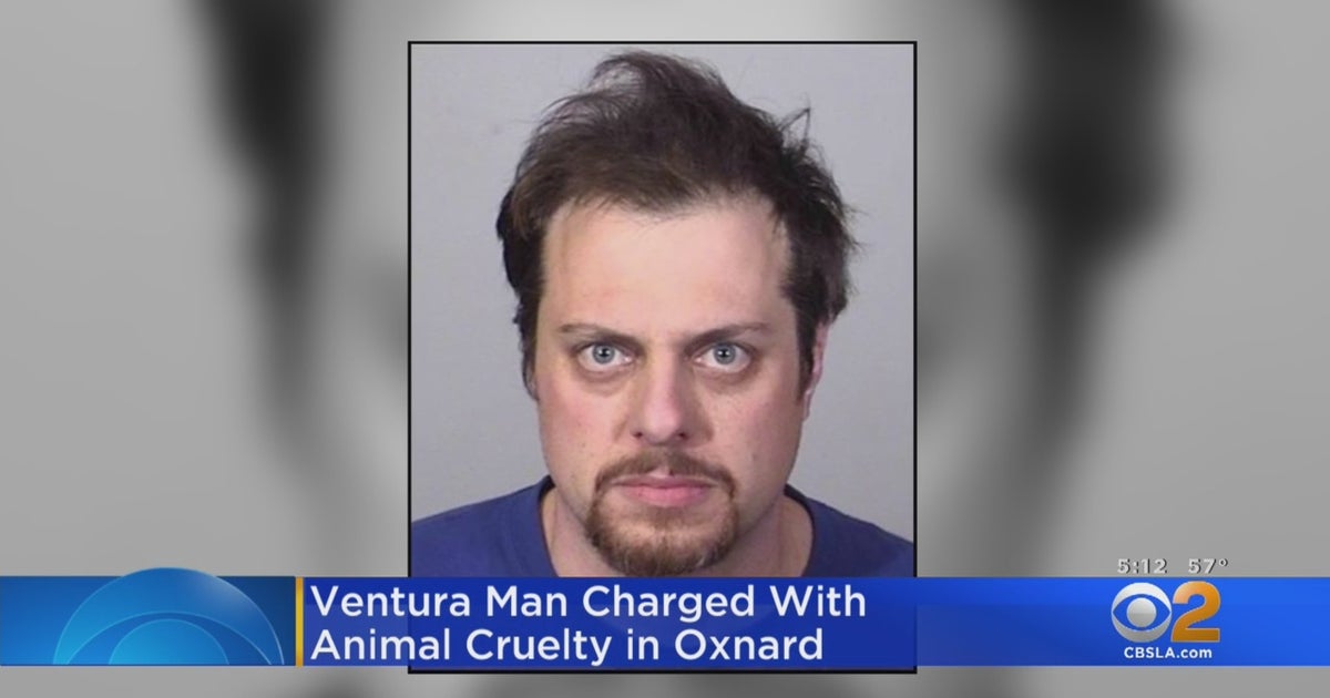 Oxnard Police Say Ventura Man Fatally Shot Cat With Crossbow - CBS Los ...