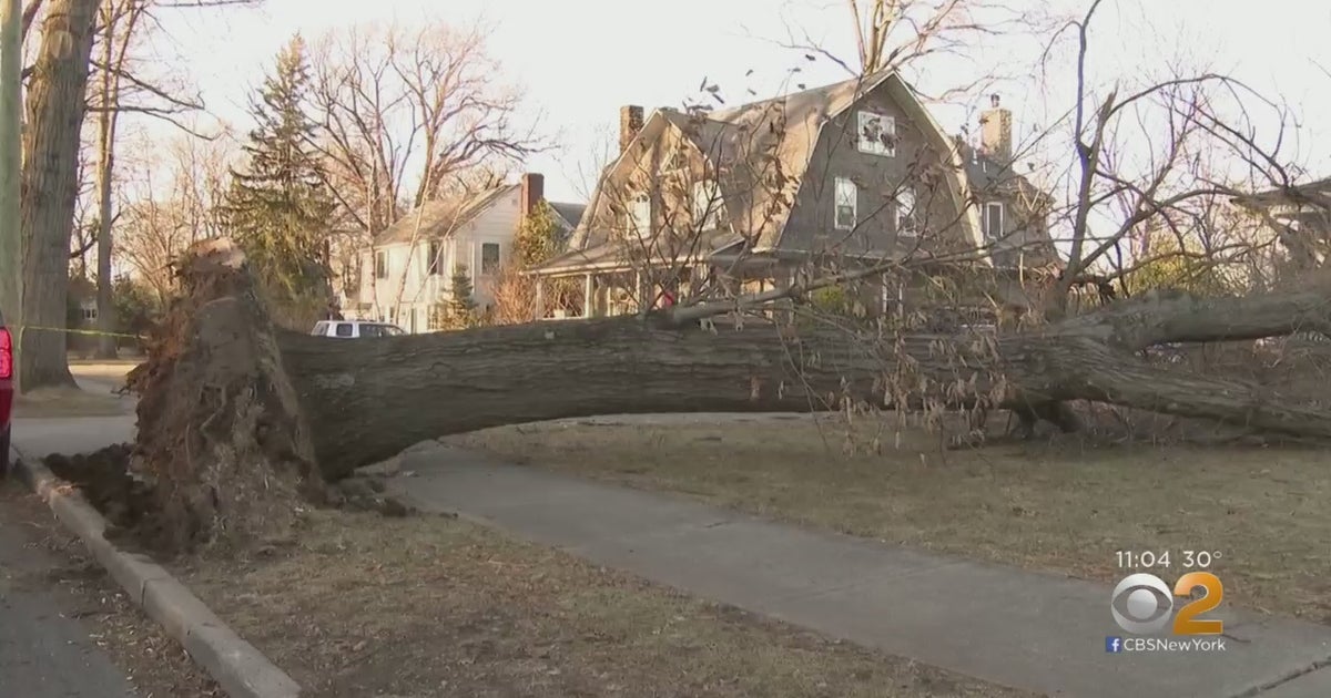New York Weather: High Wind Threatens UES Scaffolding, Takes Down Trees ...