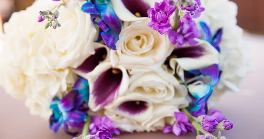 Coming Up Roses The 5 Best Florists In Miami CBS Miami