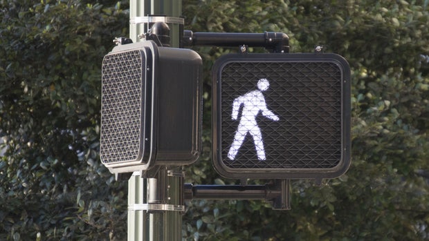 Crosswalk Sign 
