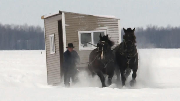 Horses Pull Ice House 
