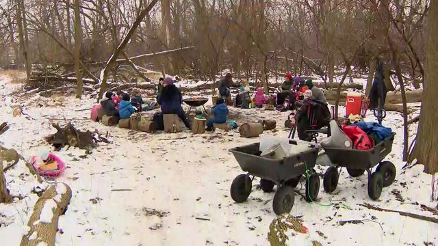 forest-playschool.jpg 