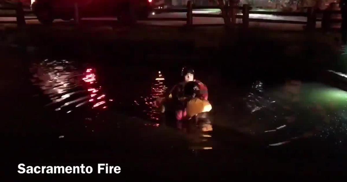 Sacramento Firefighters Rescue Person From Pond At Sutters Fort Cbs Sacramento