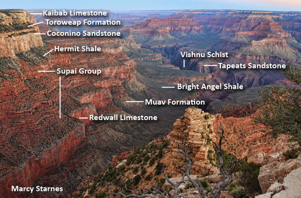 grand-canyon-major-layers-marcy-starnes-620-tall.jpg 