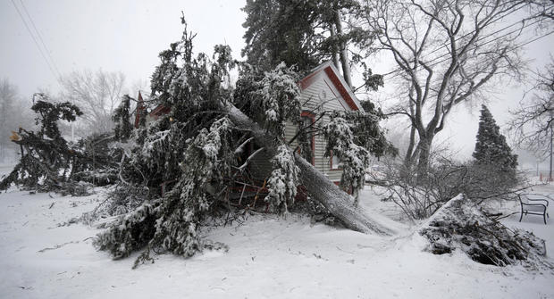 Trees snapped by high winds from a late winter storm packing hurricane-force winds and snow cover the Eugene Field house in Washington Park March 13, 2019, in Denver. 