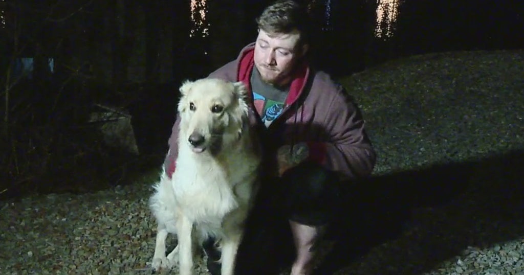 Dog Wakes Man During House Fire In Washington County - CBS Pittsburgh