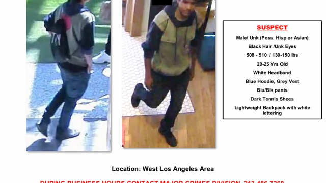 lapd-suspect.png 