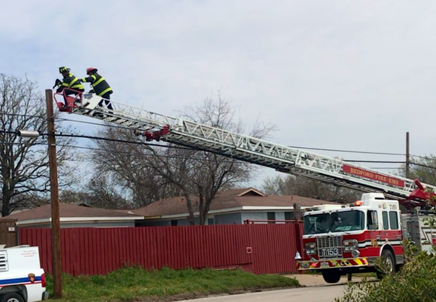 Bedford firefighters rescue cat 