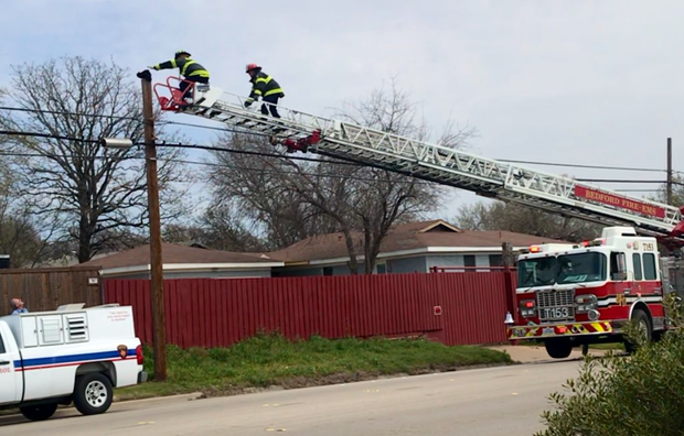Bedford firefighters rescue cat 