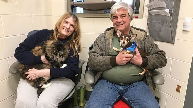 kittyandleilaadopted.jpg 