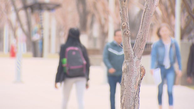 Metro Campus TB DA 01 concatenated 135209_frame_2024 