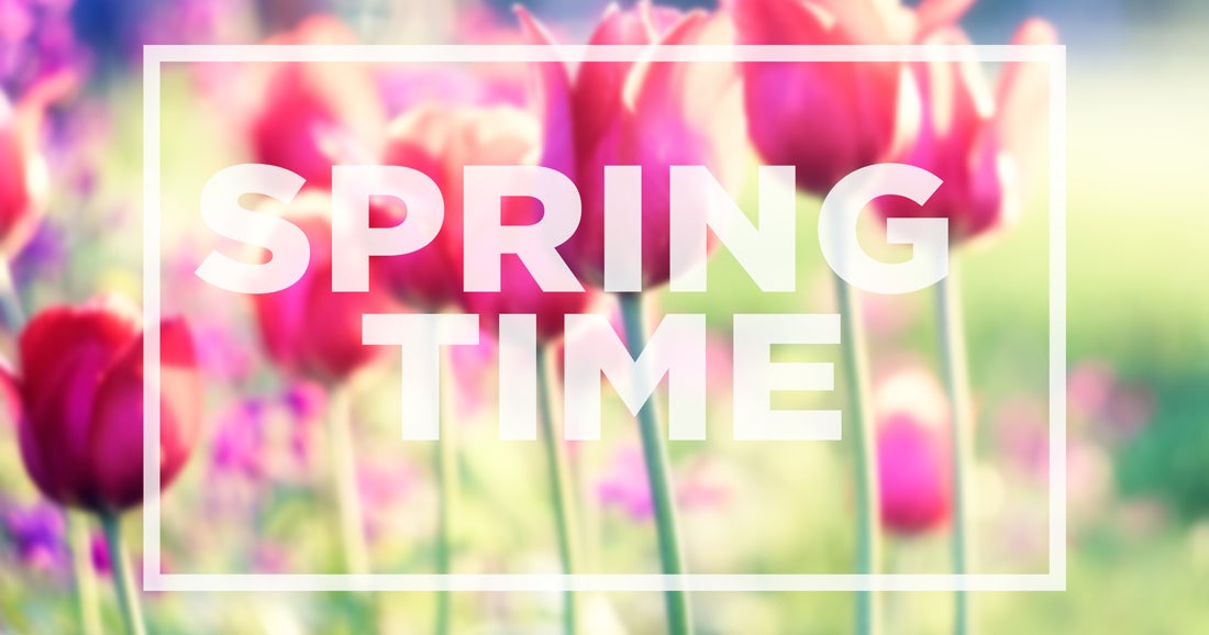 The Gentle Art Of Swedish Spring Cleaning - CBS San Francisco