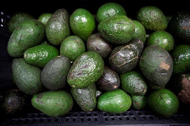 FILE PHOTO: Avocados are on display for sale at the wholesale market "Central de Abastos" in Mexico City 