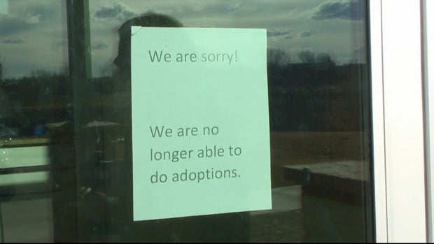 PUEBLO ANIMAL SHELTER 12VO.transfer_frame_387