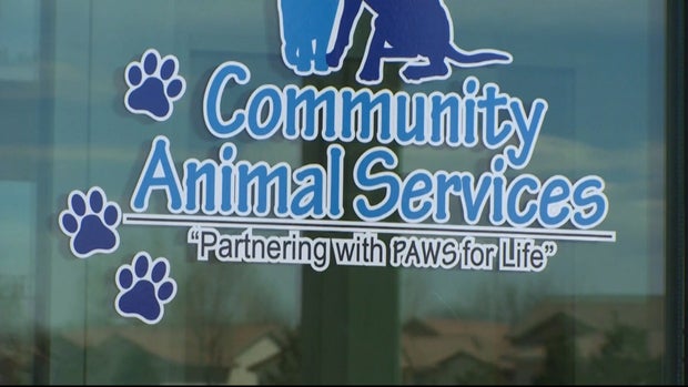 PUEBLO SHELTER SHUTDOWN 10PKG_frame_886