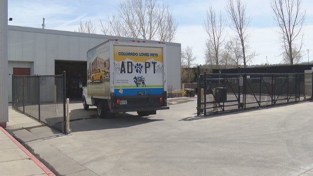 PUEBLO SHELTER SHUTDOWN 10PKG_frame_0