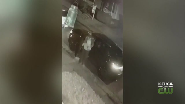 crafton-car-theft.jpg 