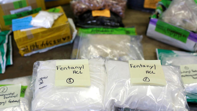 FILE PHOTO: Plastic bags of Fentanyl are displayed on a table at the U.S. Customs and Border Protection area at the International Mail Facility at O'Hare International Airport in Chicago 