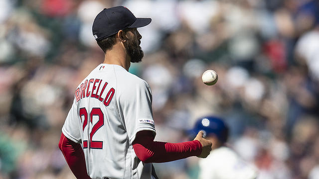 porcello.jpg 