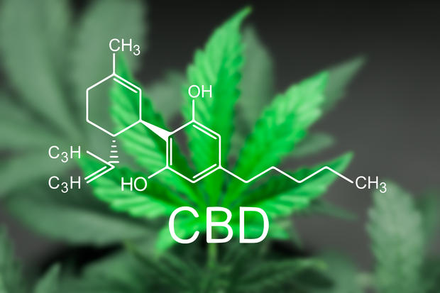 A beautiful sheet of cannabis marijuana in the defocus with the image of the formula CBD 