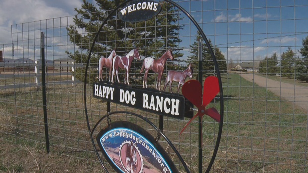 TIRE CLEANUP 5PKG.transfer_frame_0 