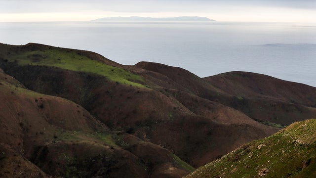 Vegetation Begins To Regrow Within Santa Monica Mtns In Woolsey Fire Area Helped In Part With Rainfall Amount 