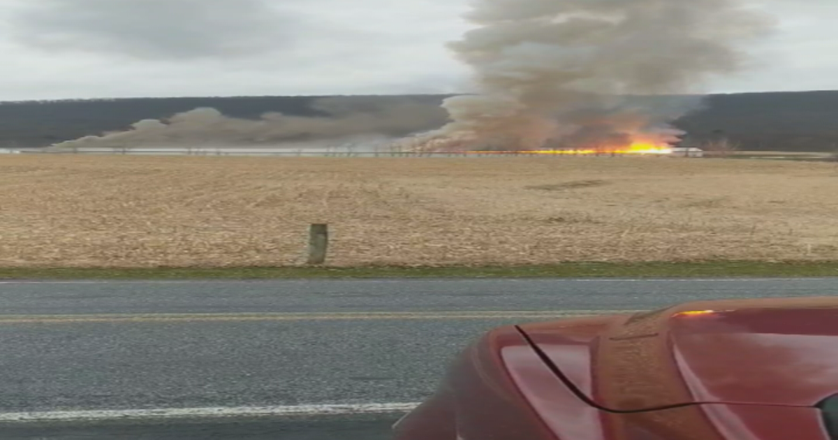 Nearly 28,000 Chickens Killed When House Catches Fire In Berks County