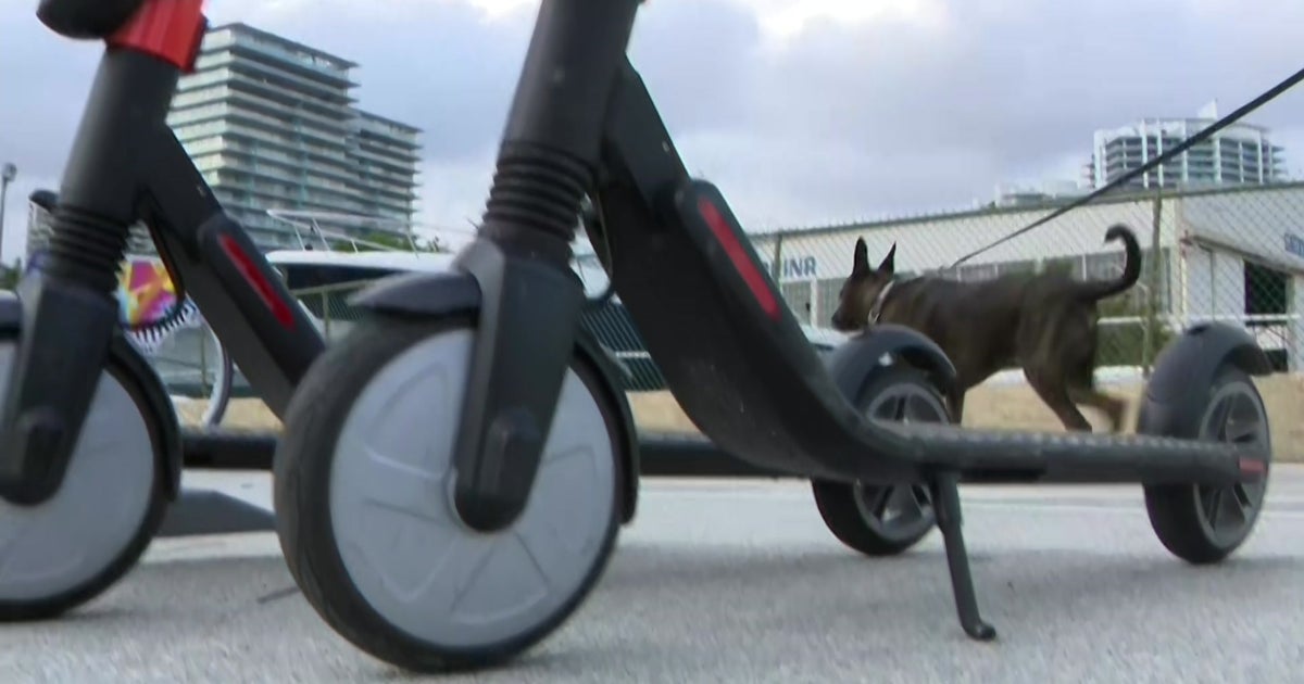 Brickell, Downtown Miami Getting Rentable Scooters As Part Of New Pilot