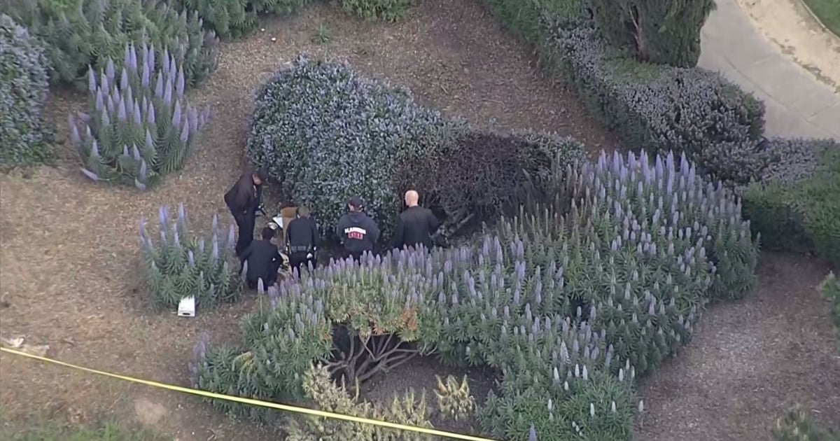 Body Found Near Alameda Park After Crews Put Out Brush Fire - CBS San ...