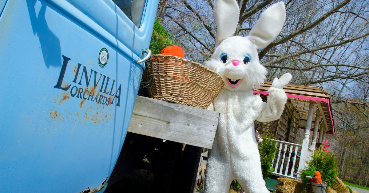 Easter Bunny Invites Guests To Visit Bunnyland At Linvilla Orchards