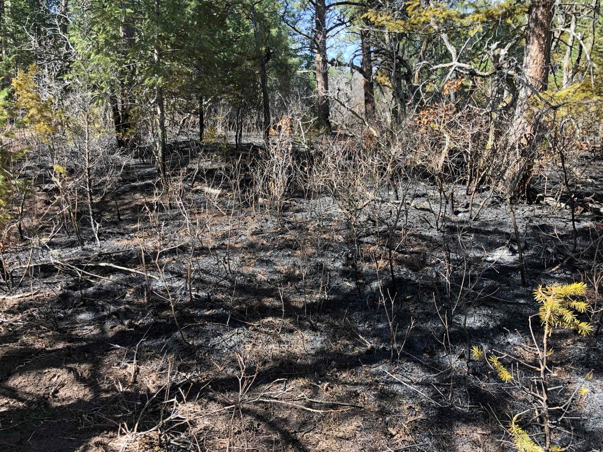 Residents Relieved After Firefighters Contain Pawnee Fire CBS Colorado