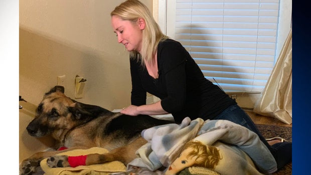 Jennifer Najmabadi and her dog, Charlie 