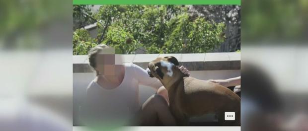 Dog Sitter Burglarizes Home of San Clemente Man Battling Brain Cancer, Family Says 