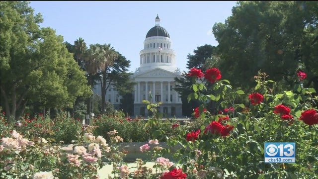 capitol-rose-garden-shot.jpg 