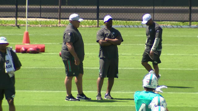 dolphin-camp-4-16-19.jpg 