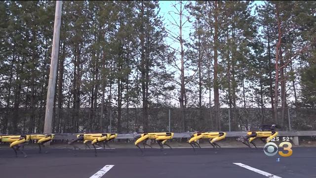 Robot dogs pulling a sales truck