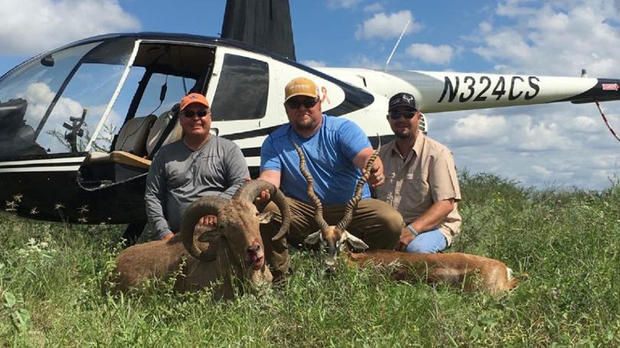 Hunter, 3 others sentenced for using helicopter to hunt 