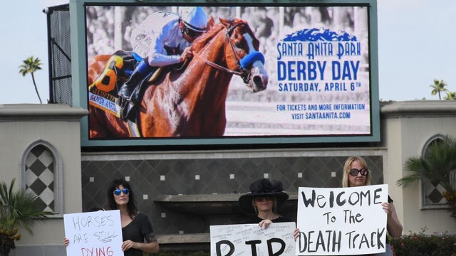 Santa Anita horse racing deaths 