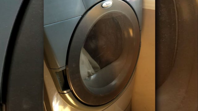 dagostino-dryer.jpg 