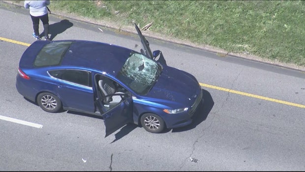 roosevelt blvd auto ped 