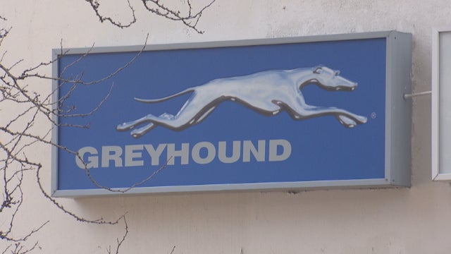 greyhound-property-for-sale_frame_181.jpg 