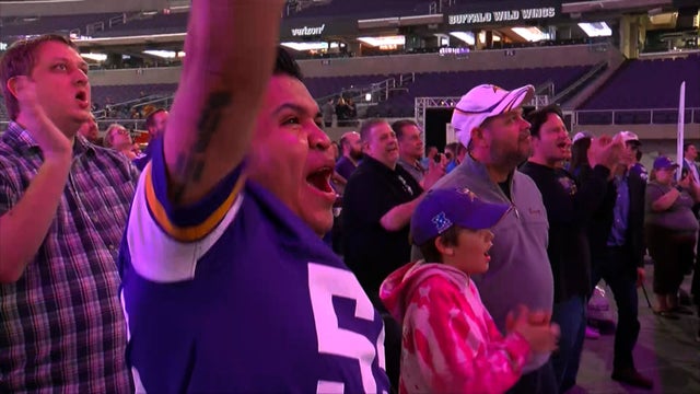 minnesota-vikings.jpg 