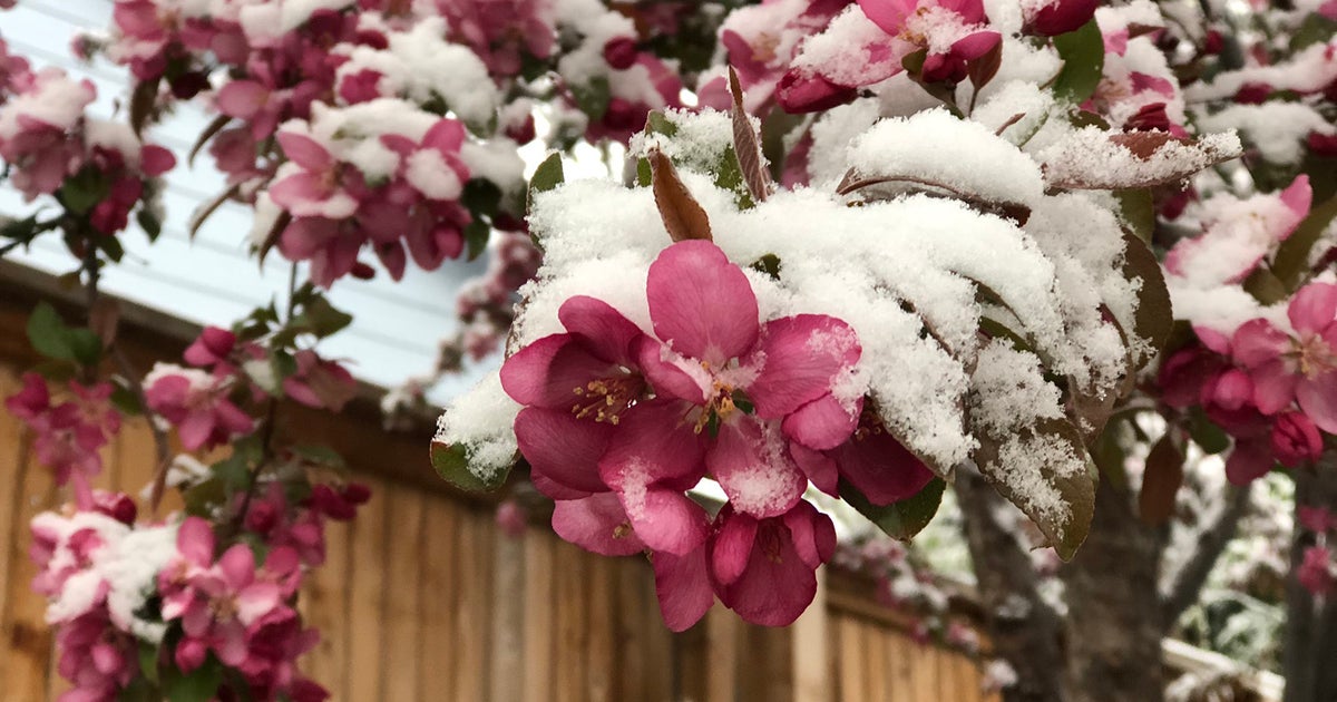 Denver Weather: Storm Drops Slushy Snow On The Front Range - CBS Colorado